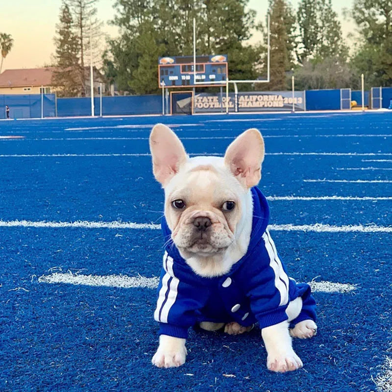 Frenchie Comfy Winter Hoodies