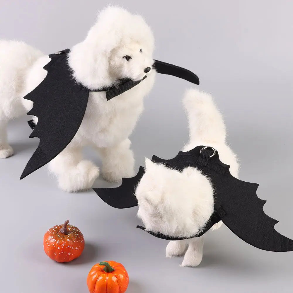 Pet Halloween Bat Costume