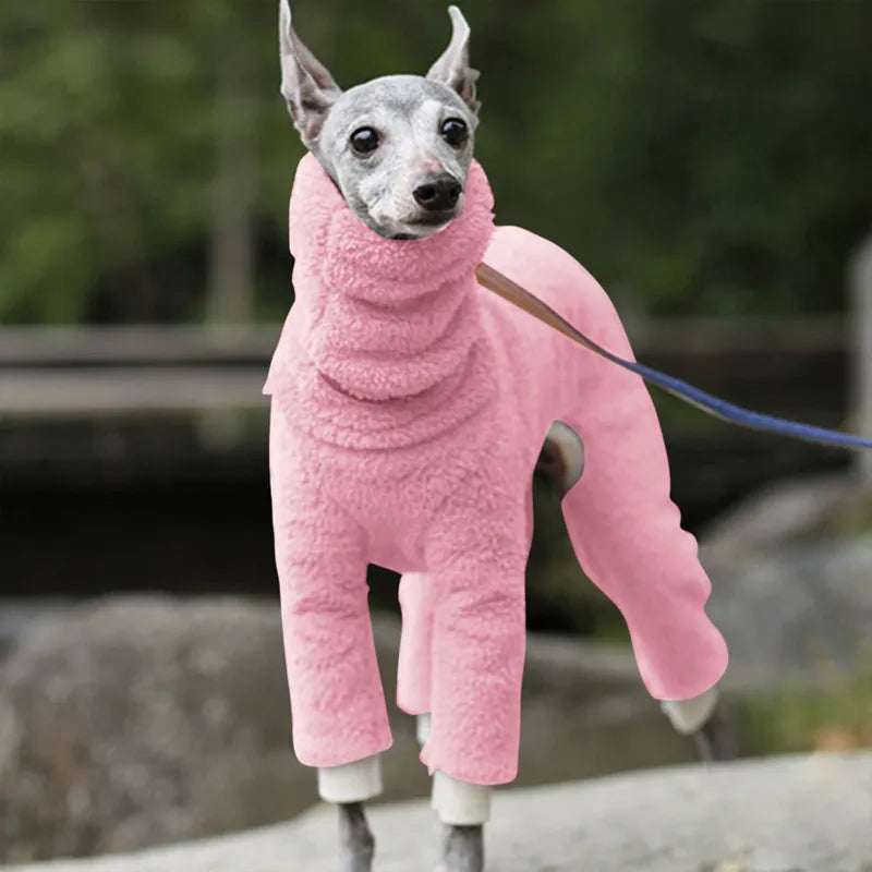 Winter Sweater For Whippet