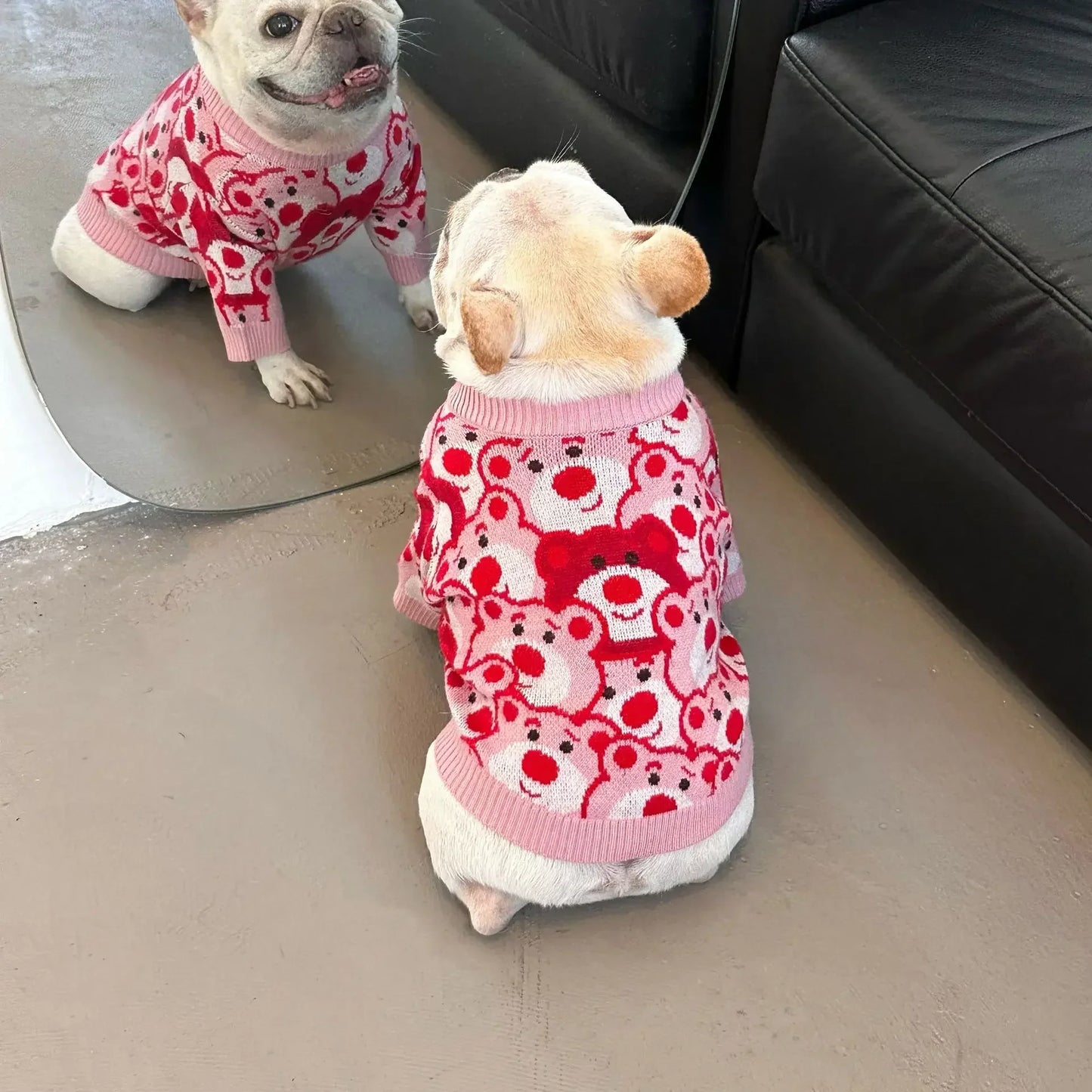 French Bulldog Winter Designer Outfits