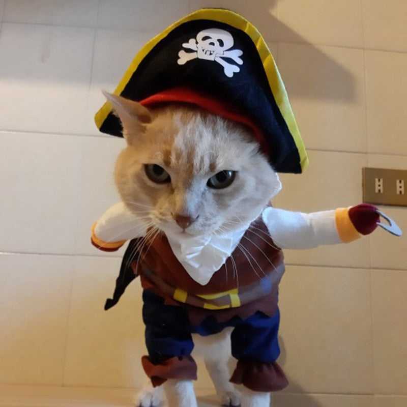 Pirate Dog Halloween Costume