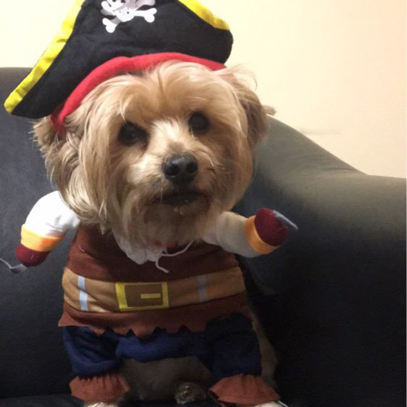 Pirate Dog Halloween Costume