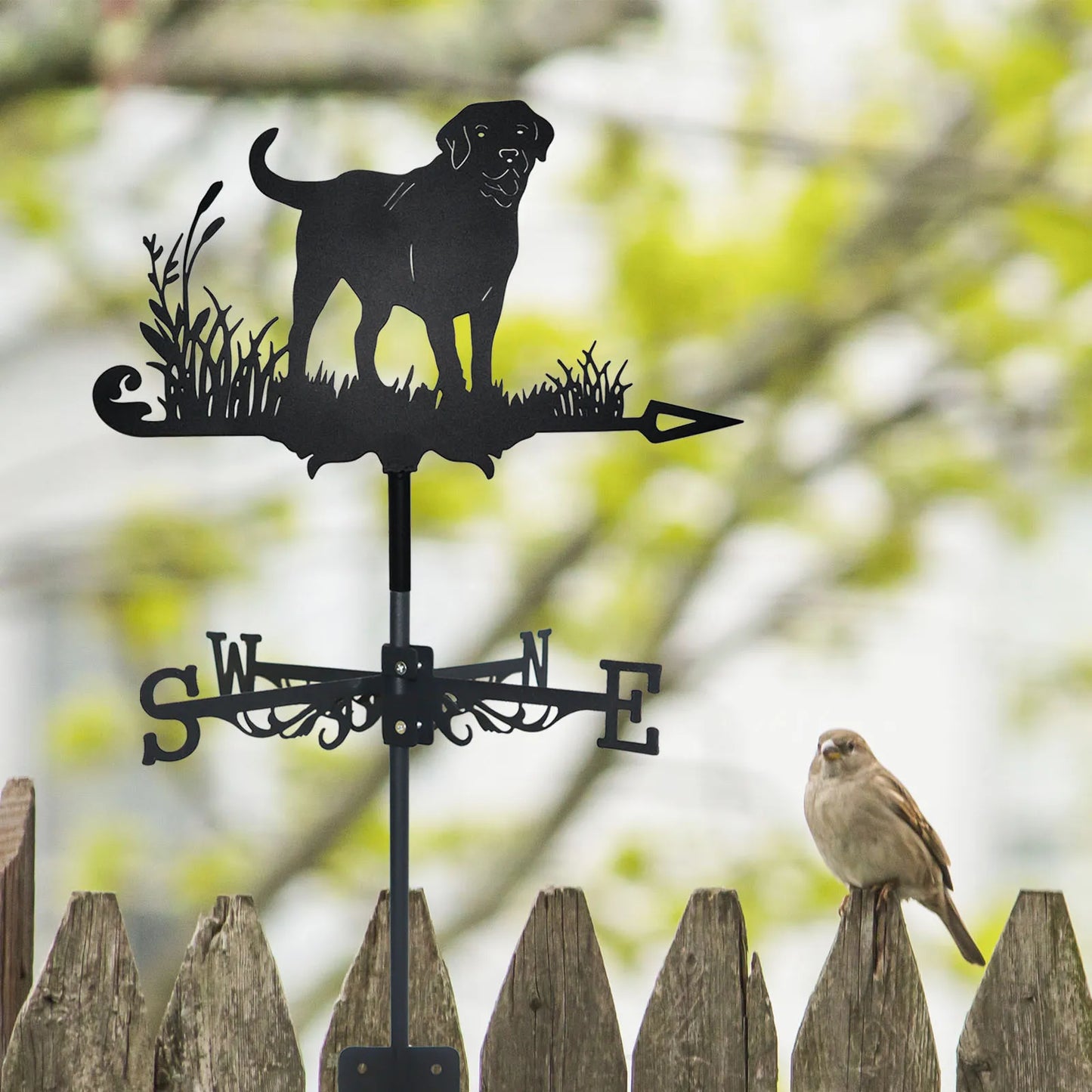 Labrador Weather Vane