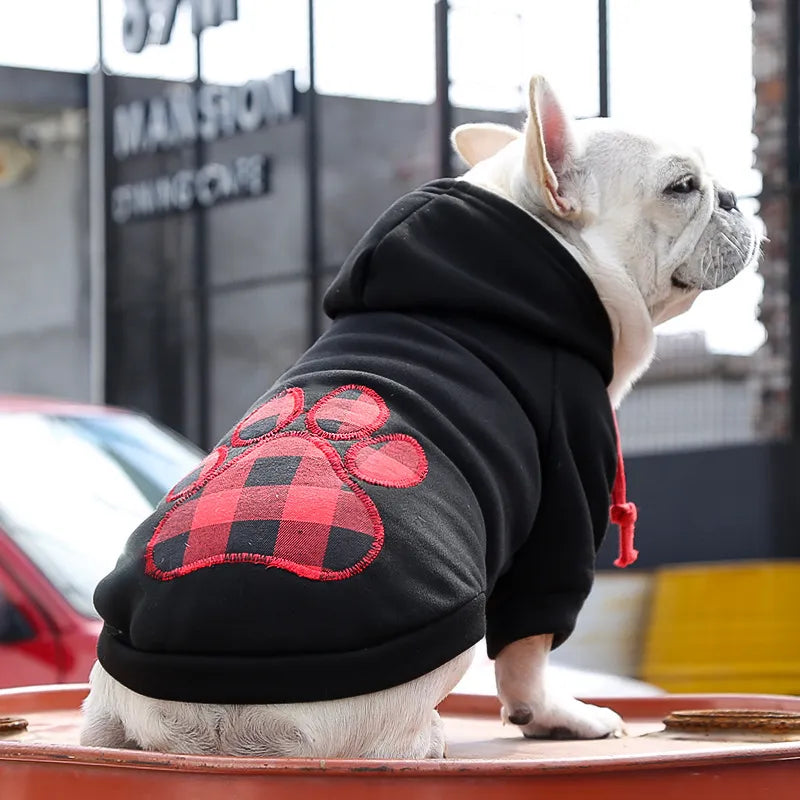 Frenchie Stylish Winter Hoodies