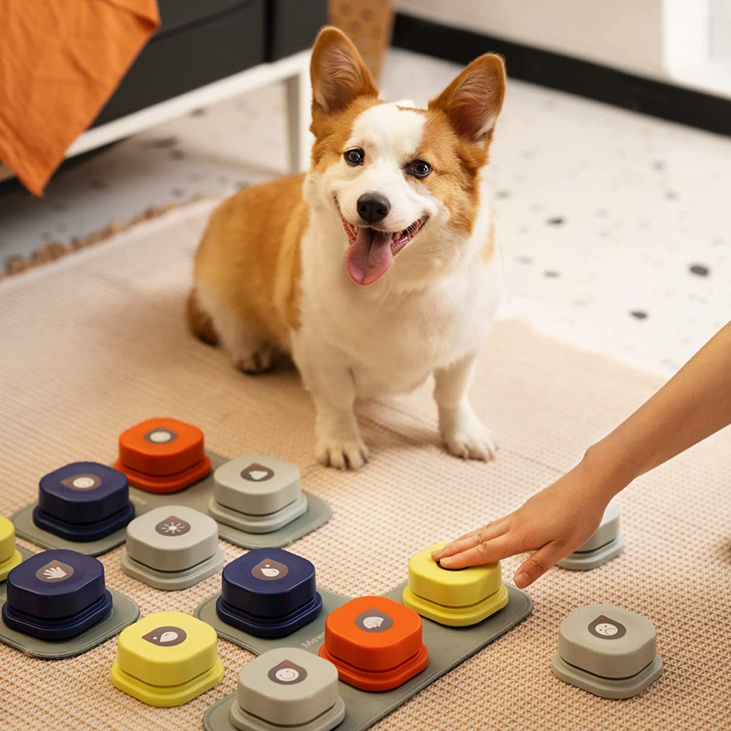 Dogs Interactive Talking Toy  With Buttons