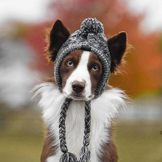 Border Collie Fluffy Winter Hats