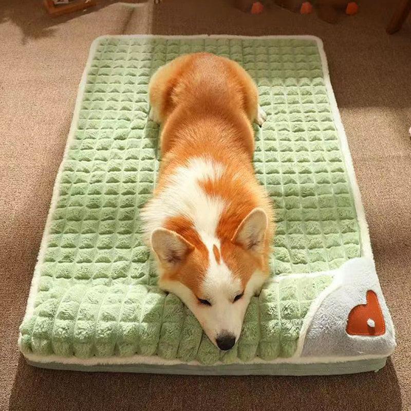 Comfy Dog Plaid Beds