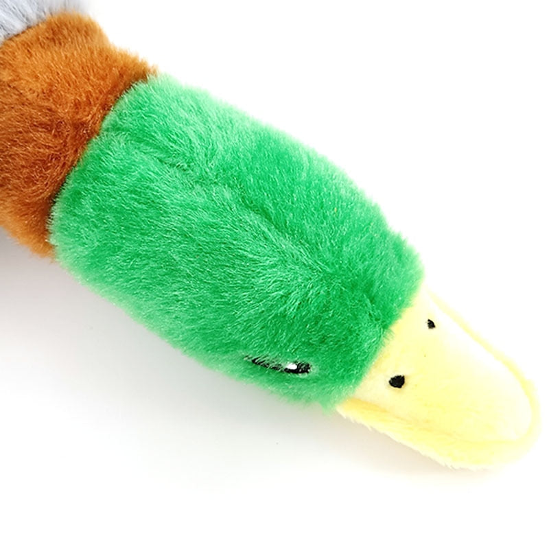 Tooth Cleaning Plushy Duck Toys