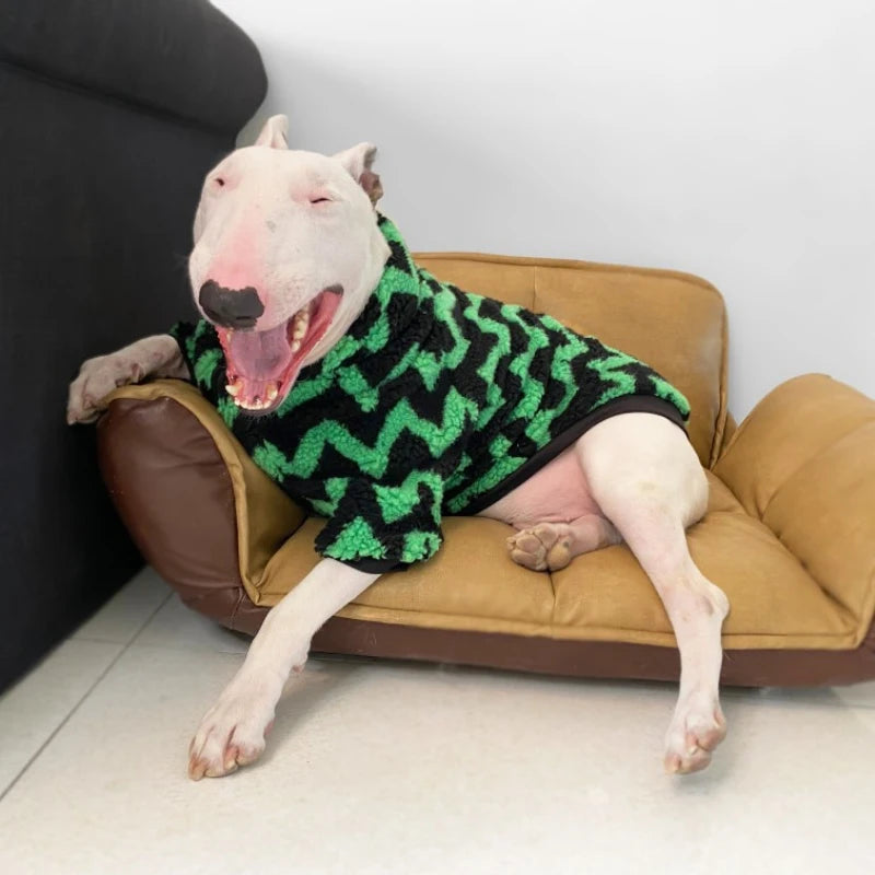 Bull Terrier Striped Winter Jacket