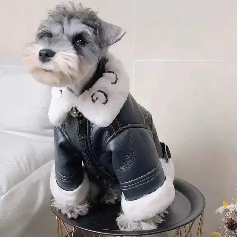 Schnauzer Trendy Leather Jackets