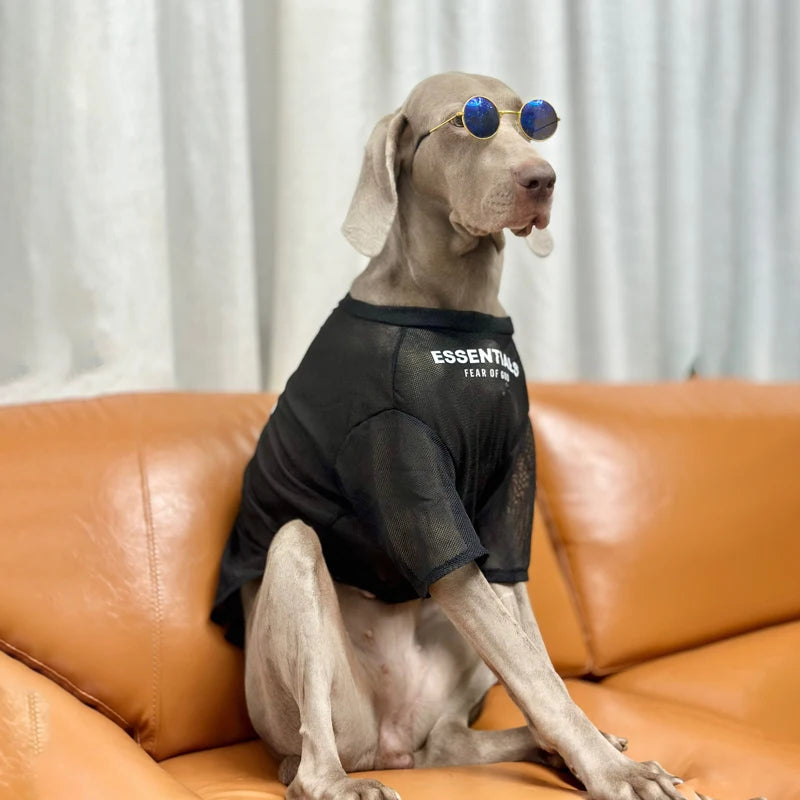 Weimaraner Thin Summer Dress