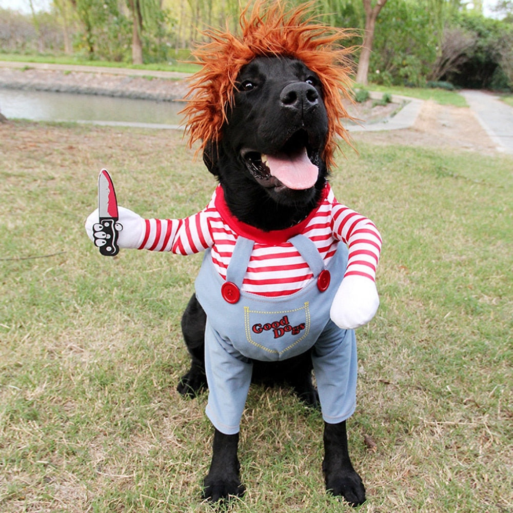 Halloween Chucky Dog Costume