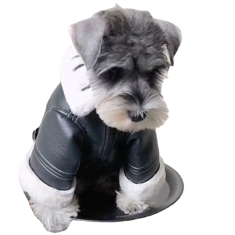 Schnauzer Trendy Leather Jackets