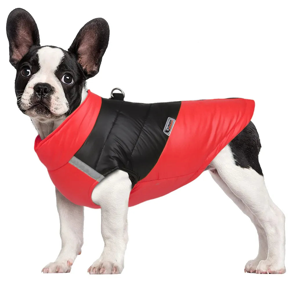 Frenchie Waterproof Winter Jacket