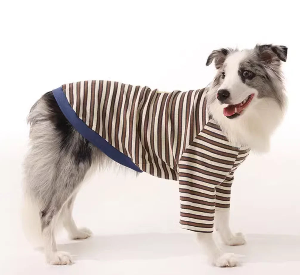 Border Collie Spring Winter Dress