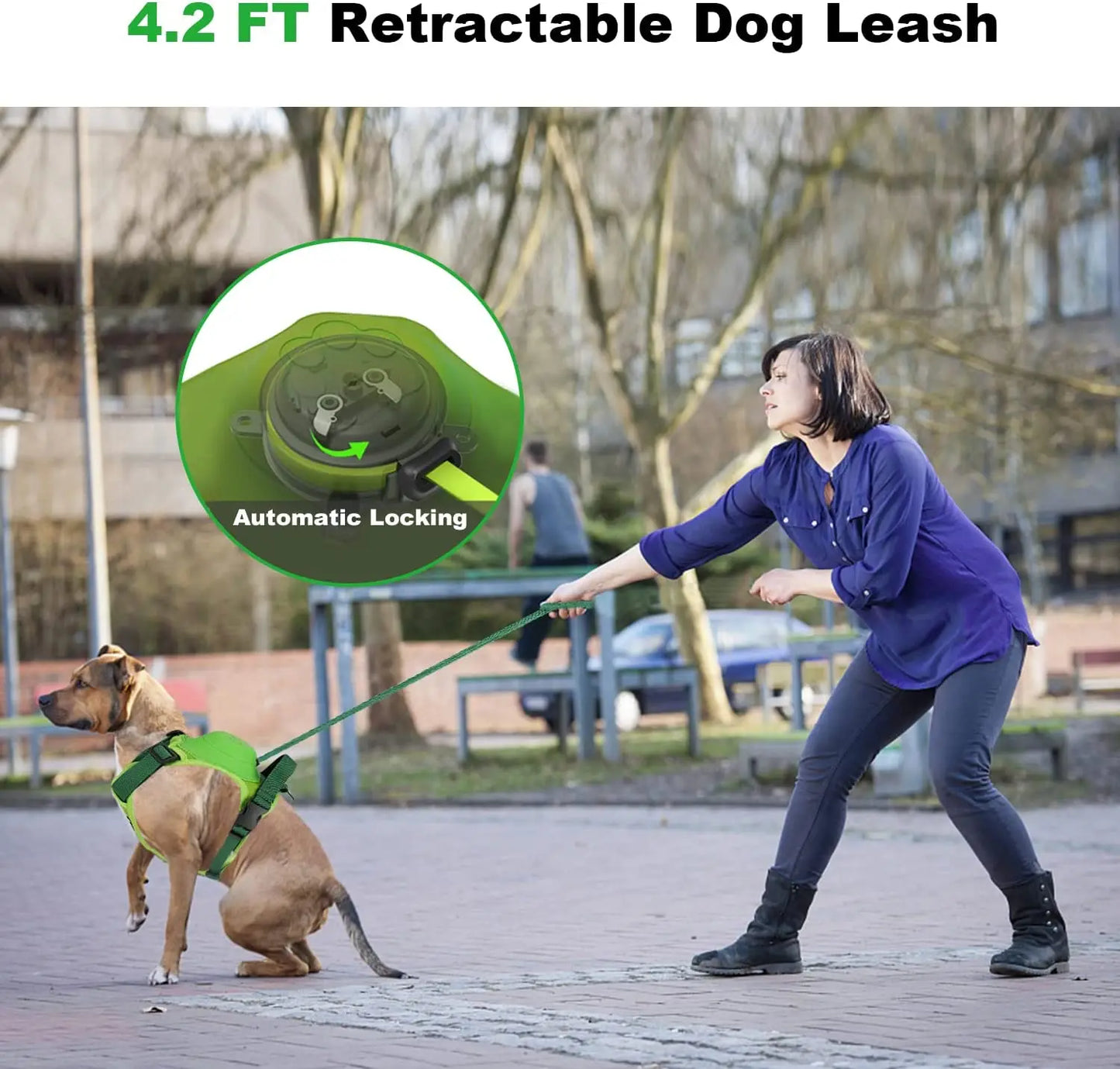 Adjustable Dog Harness & Leash