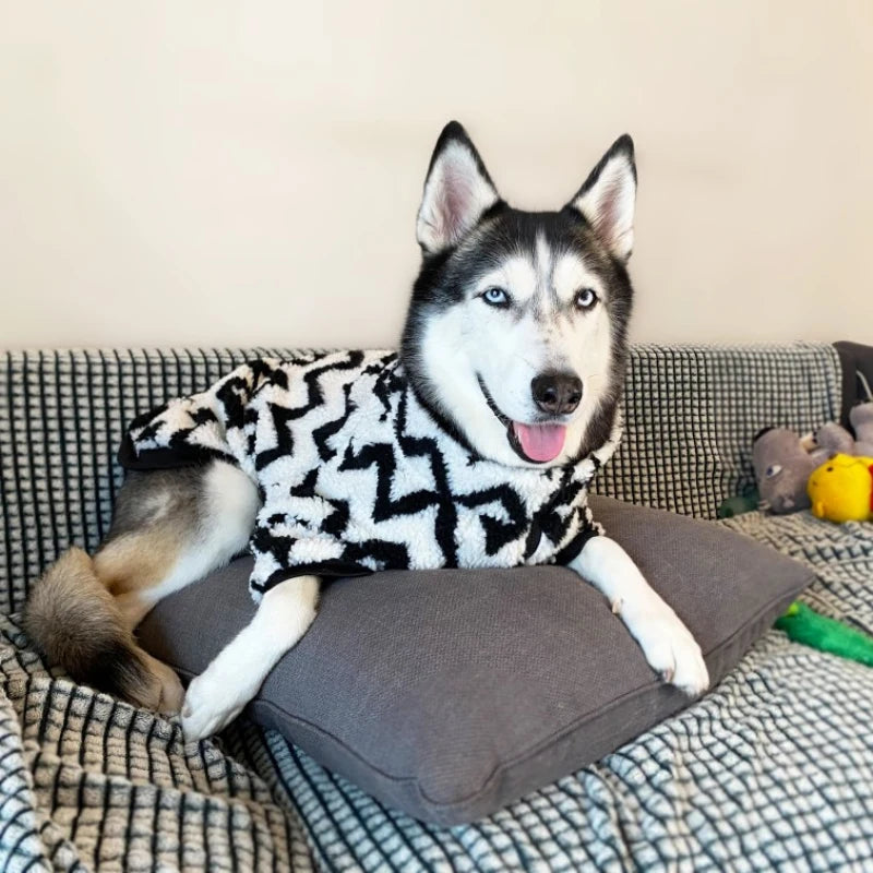 Husky Striped Winter Jacket