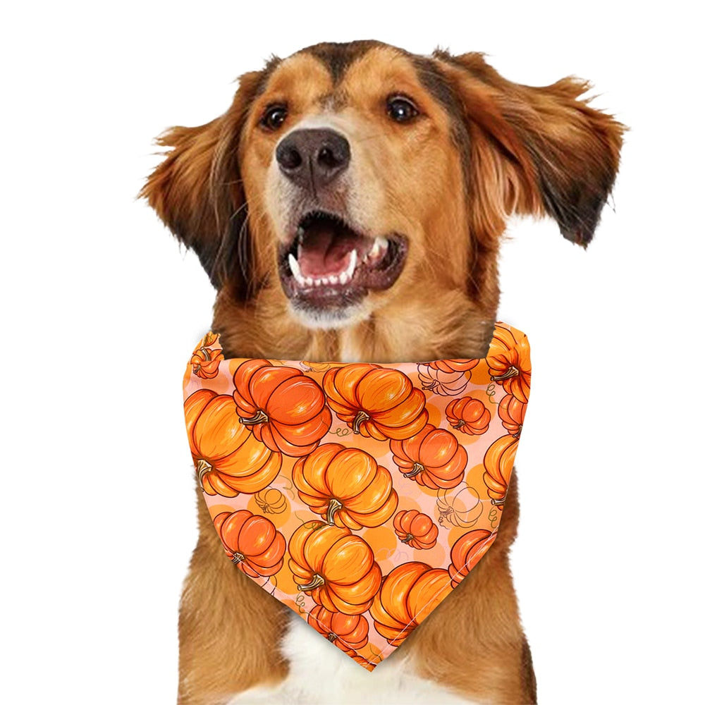 Fall Dog Bandanas