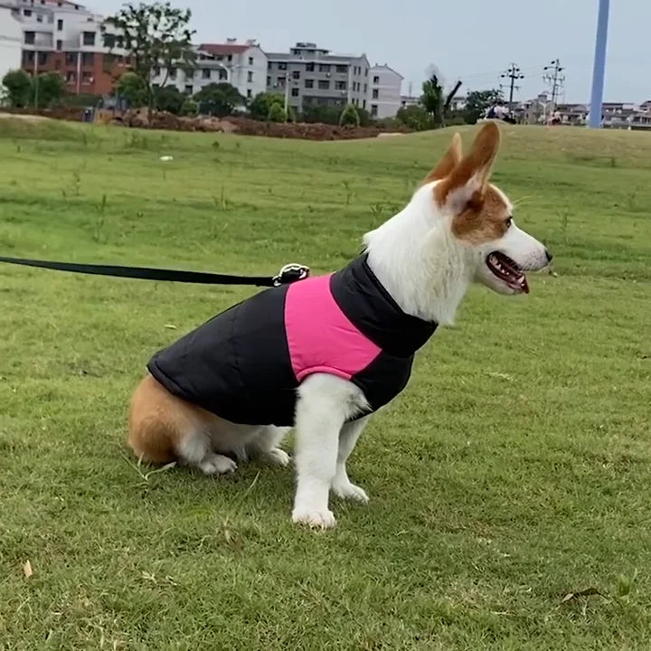 Winter Dog Jackets For Corgi