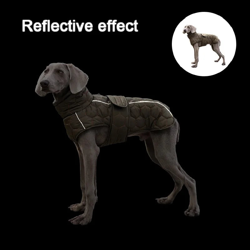 Weimaraner Winter Vest Coat