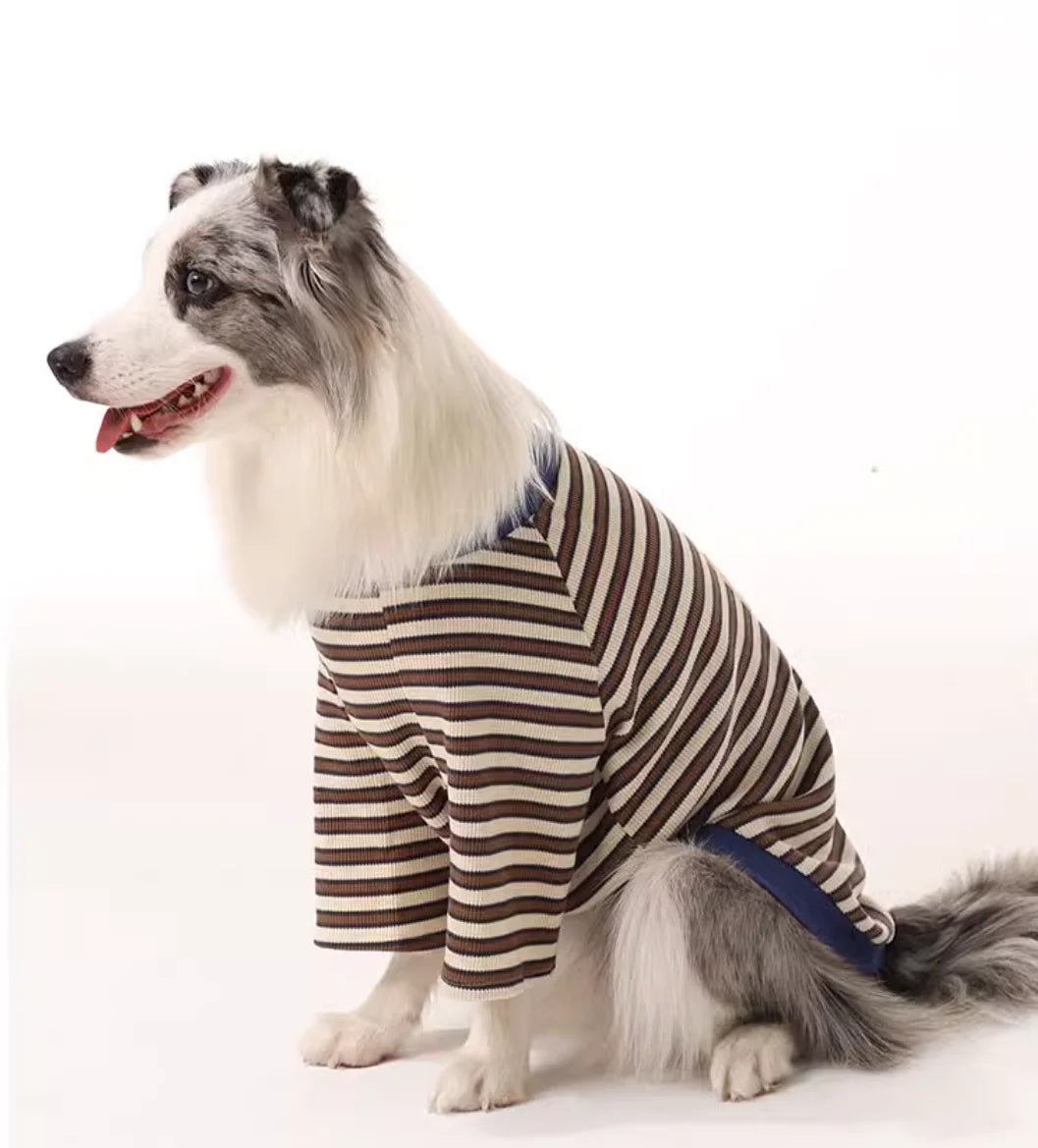 Border Collie Spring Winter Dress