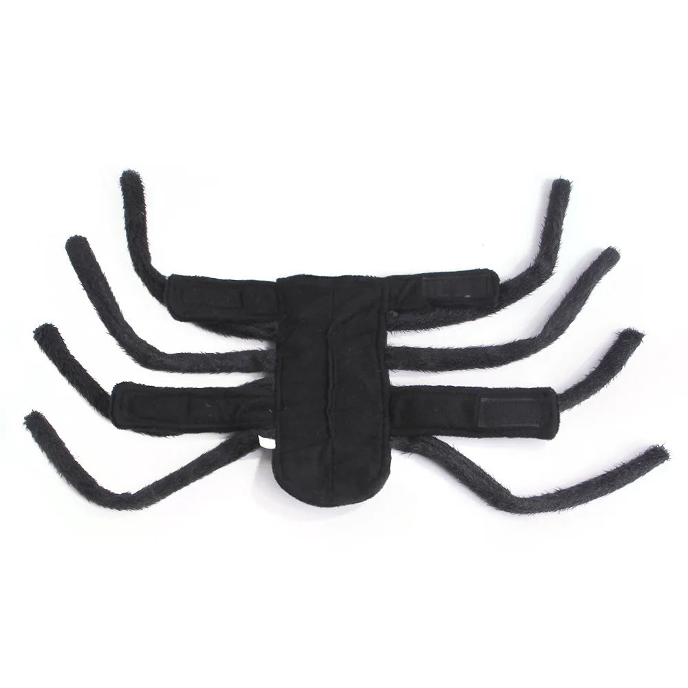 Dog  Halloween Spider Costume