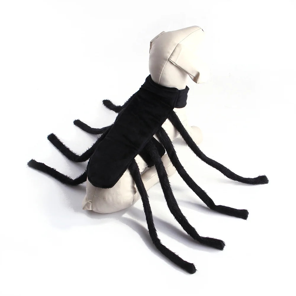 Dog  Halloween Spider Costume