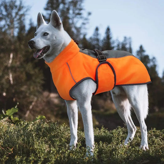 Waterproof Husky Winter Jacket