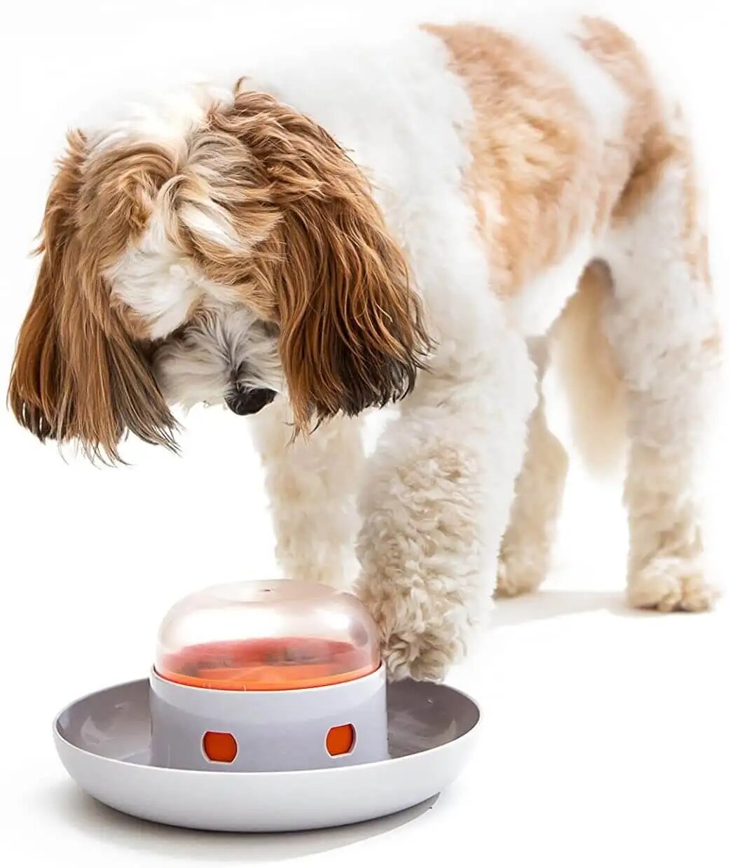 Dog Slow Feeder Bowl Toy