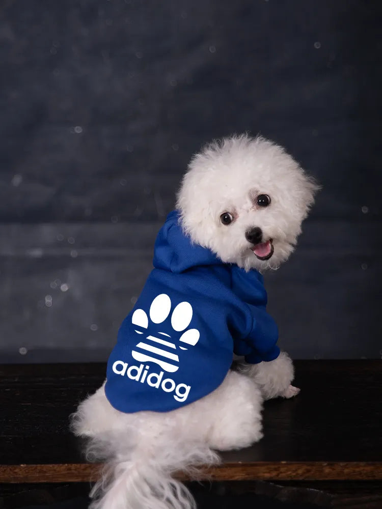 Bichon Frise Winter Warm Hoodies