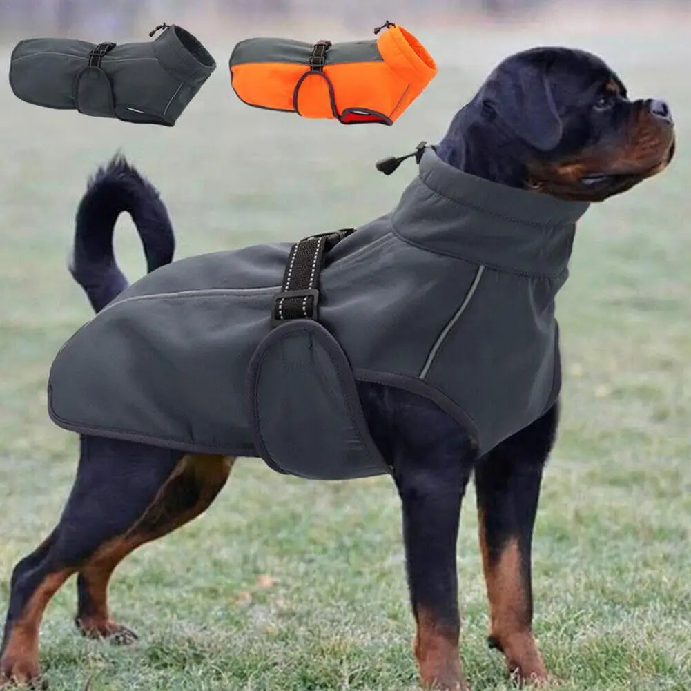 Waterproof Rottweiler Winter Jacket