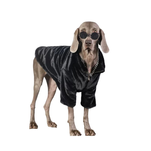 Weimaraner Winter Velvet Shirt