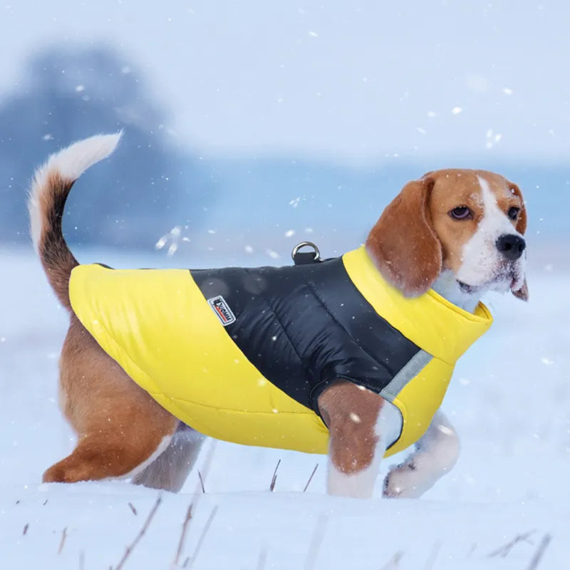 Beagle Warm Winter Jacket