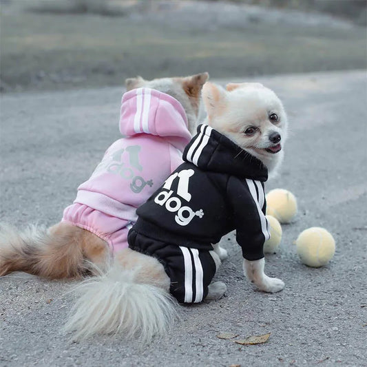 Pomeranian Cozy Winter Hoodies