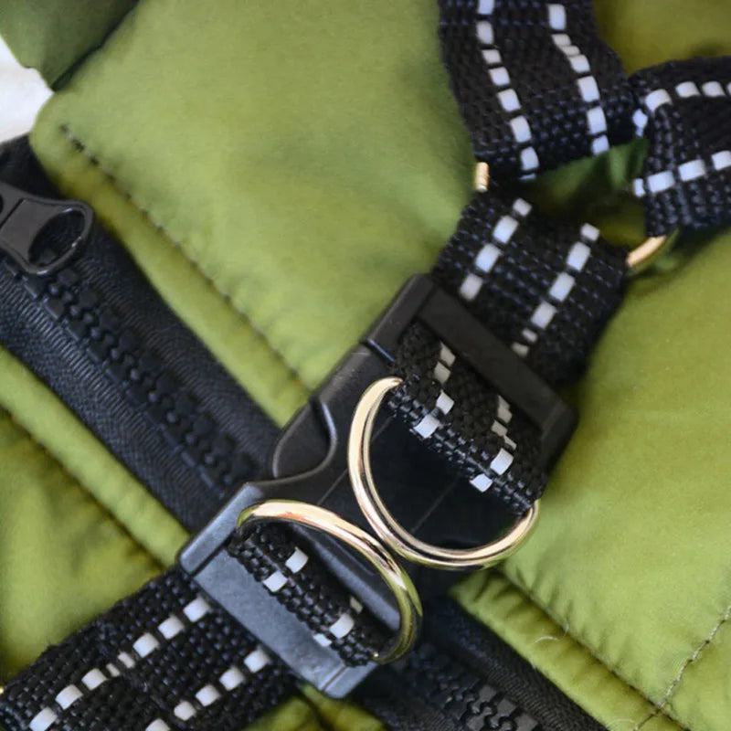 Golden Retriever Winter Harness Jacket