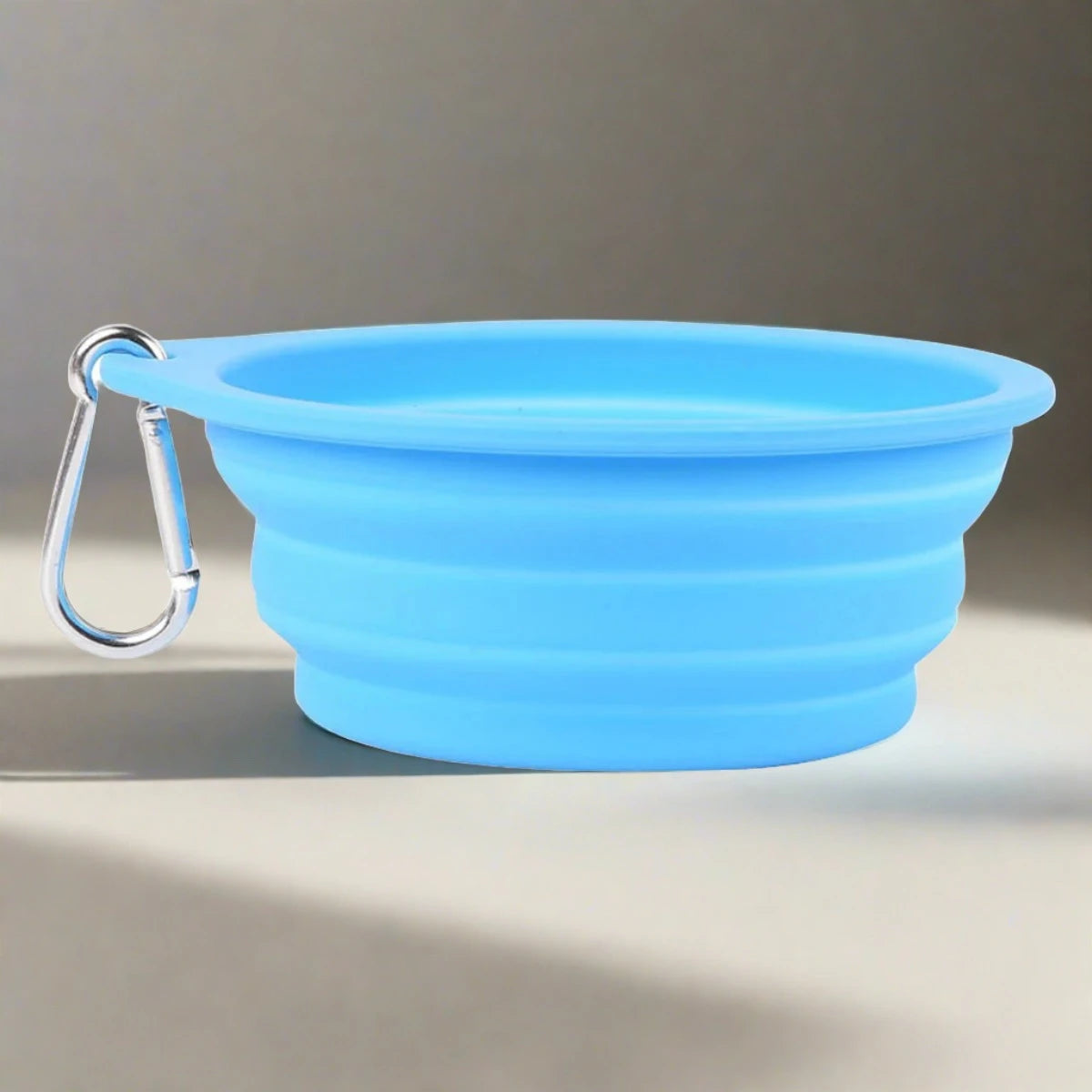 Foldable Pet Feeding Bowl