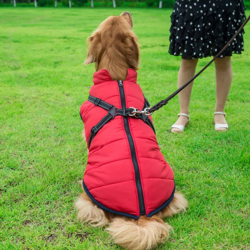 Golden Retriever Winter Harness Jacket