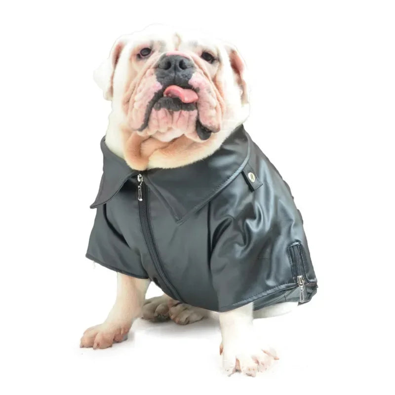 Winter Bulldog Leather Jacket