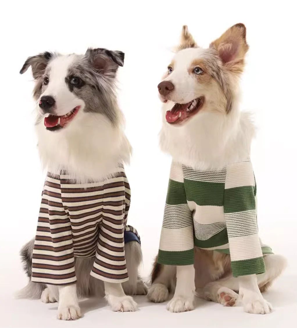 Border Collie Spring Winter Dress