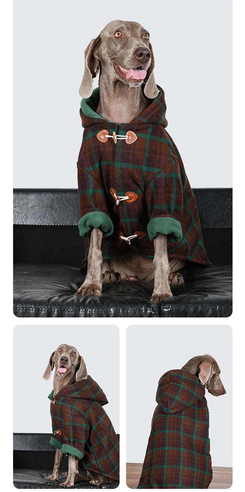 Weimaraner Winter Hoodie Shirt