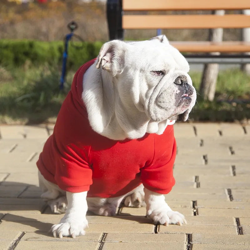 Hoodies For English Bulldog