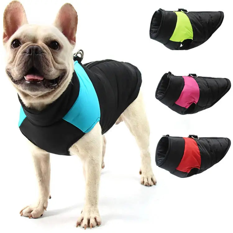 Frenchie Winter Dog Jackets