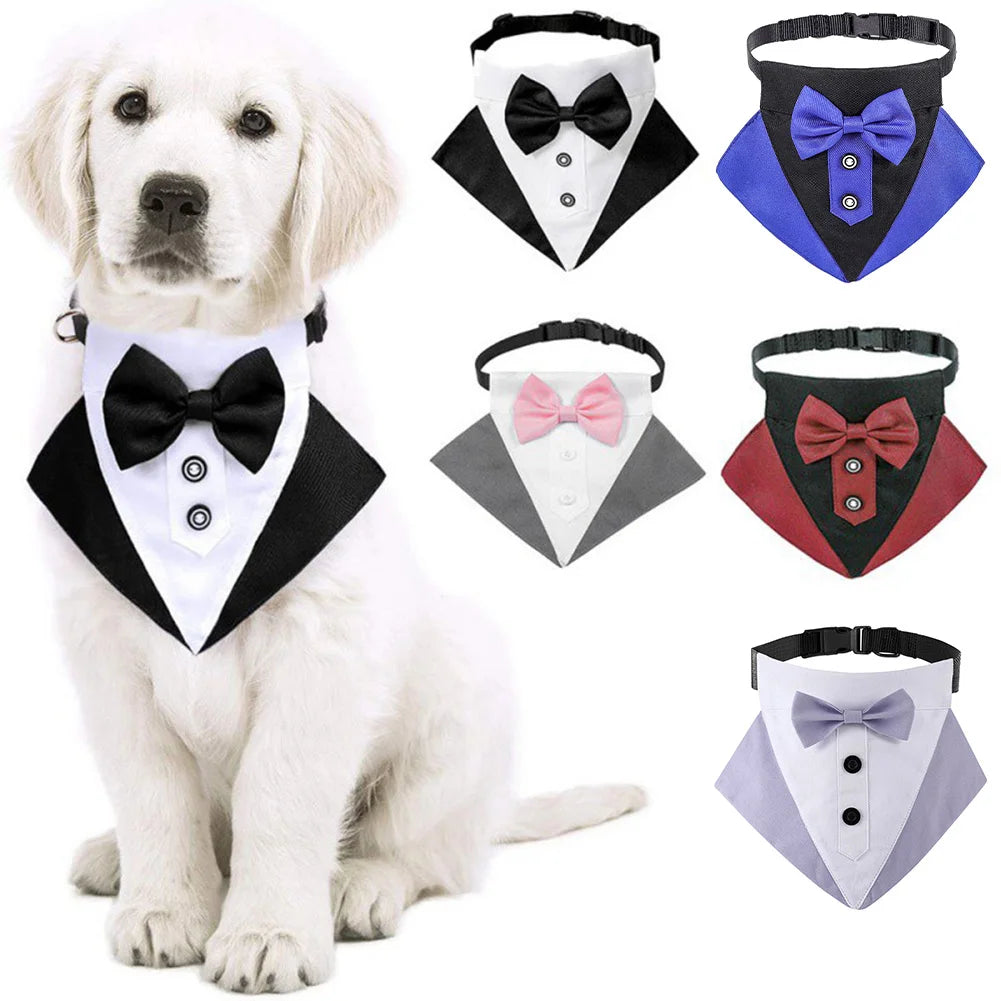 Labrador Adjustable Dog Bow Tie