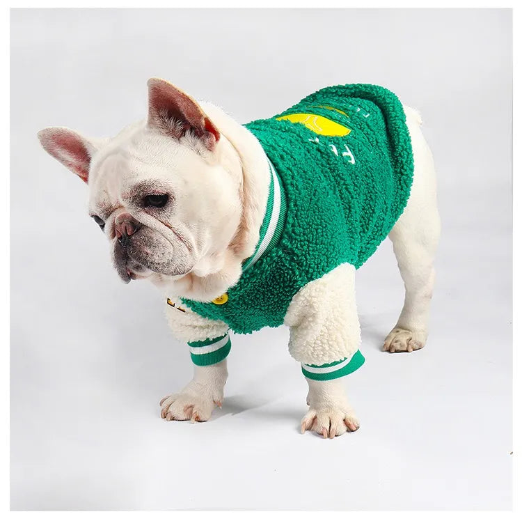 Baseball Jacket For French Bulldog