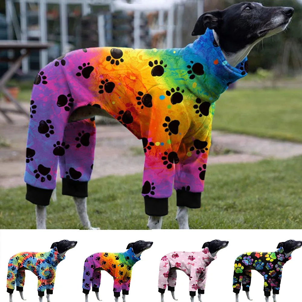 Whippet Paw Colorful Sweater