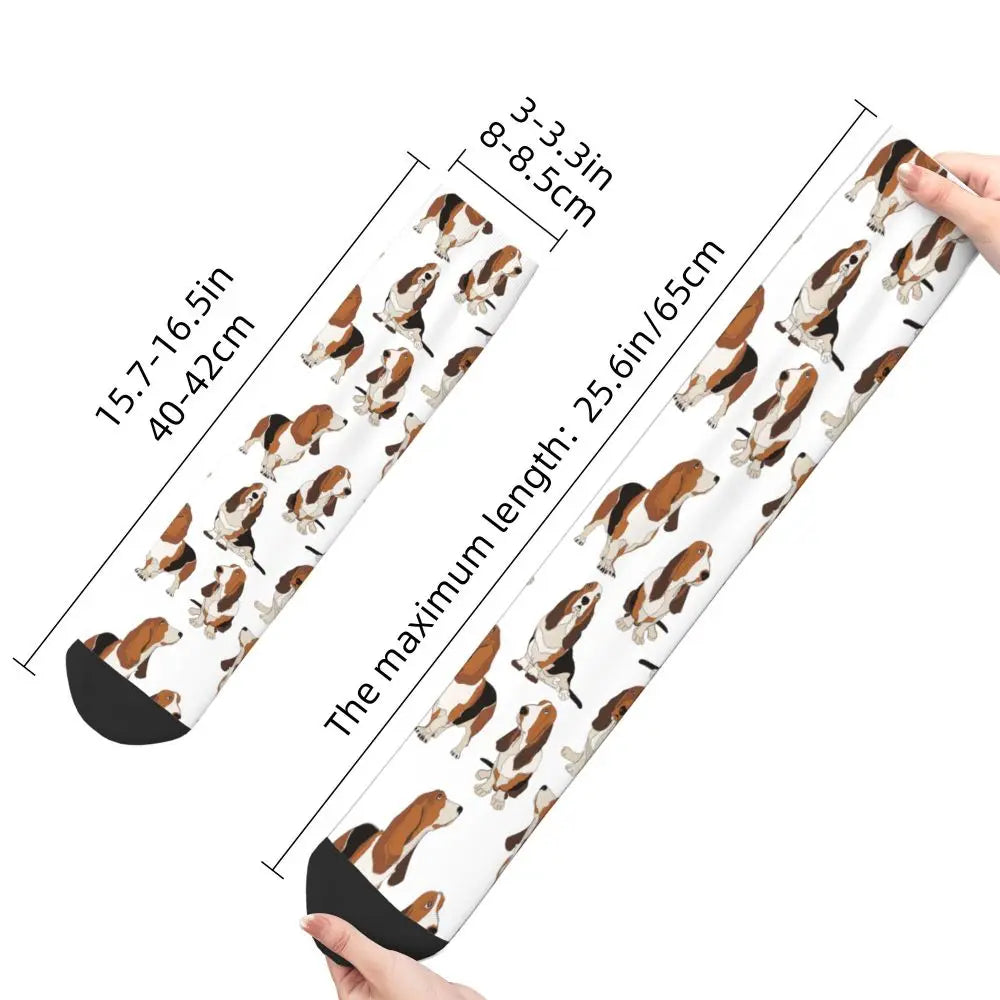 Basset Hound All Season Socks