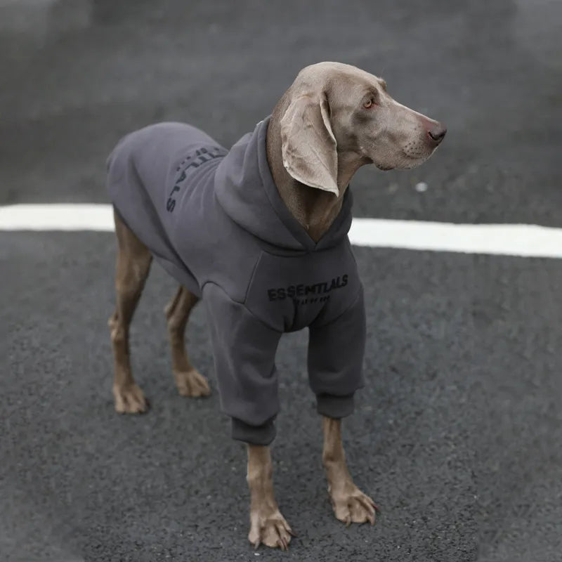 Weimaraner Fall Winter Hoodie