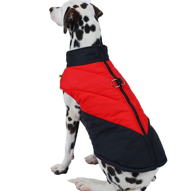 Dalmatian Waterproof Winter Jacket