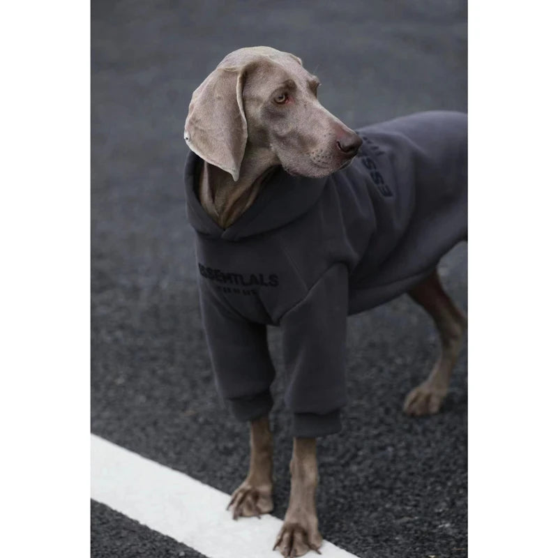 Weimaraner Fall Winter Hoodie