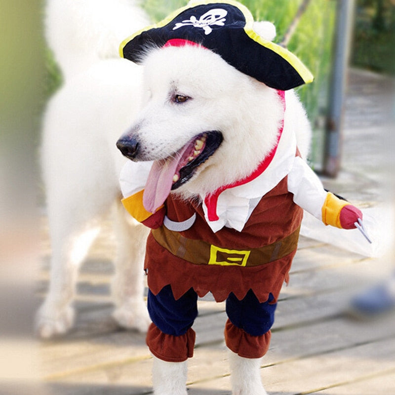 Pirate Dog Halloween Costume